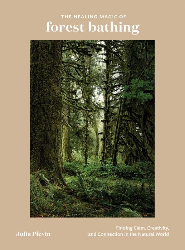 Healing Magic Of Forest Bathing: Finding Calm