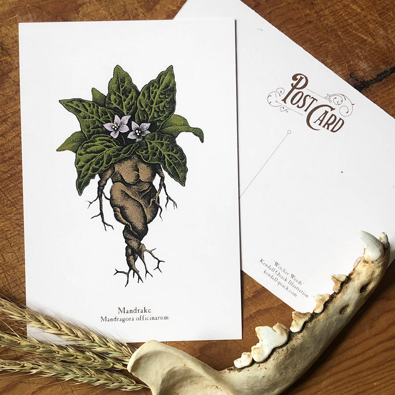 Witches Weeds Postcard Set
