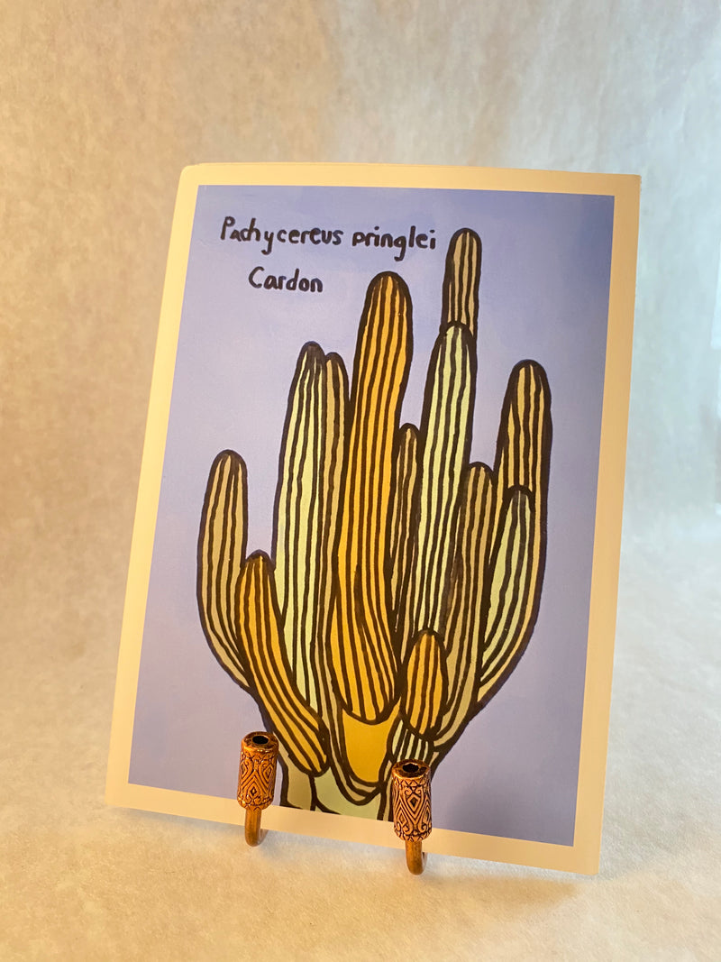 Sonoran Witch Boy Cards