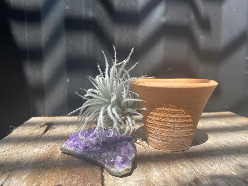 Small Plant Pots